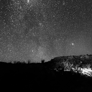 舞厅里挺进人妻的身体
